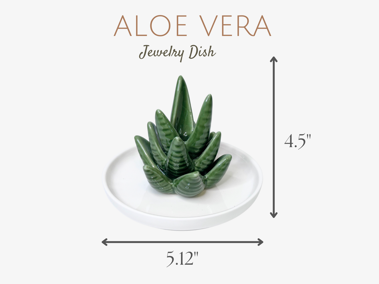 Aloe Vera Jewelry Dish